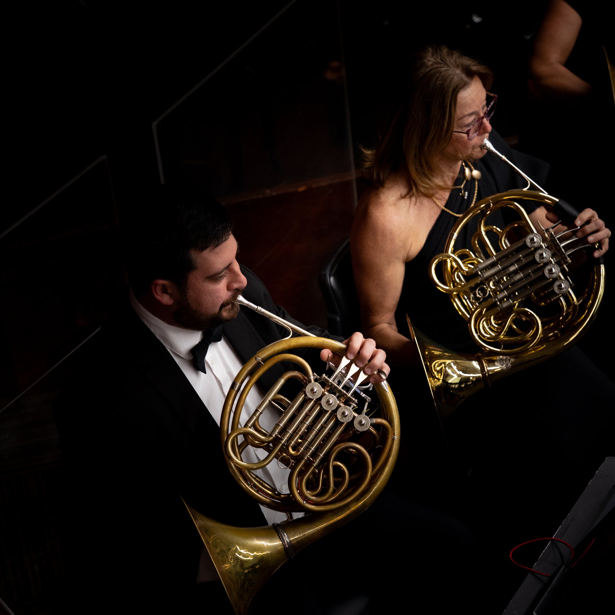 The horn section of the Gold Coast Philharmonic Orchestra in concert